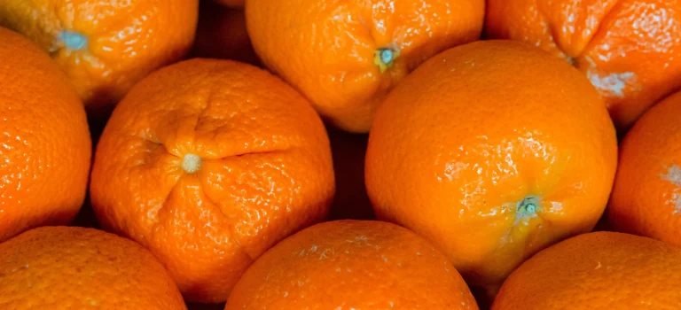 Mandarine in der Schwangerschaft