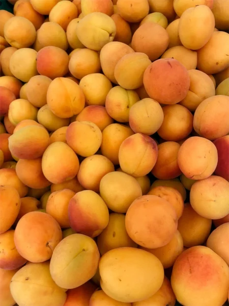 Aprikosen sind die perfekten Früchte für heranwachsende Mädchen oder Jungen