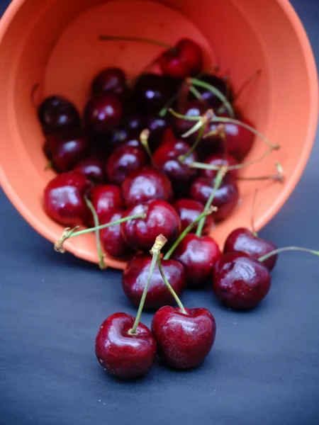 Die Kirsche ist ein Superfood und sollte fester Bestandteil Ihrer Ernährung sein